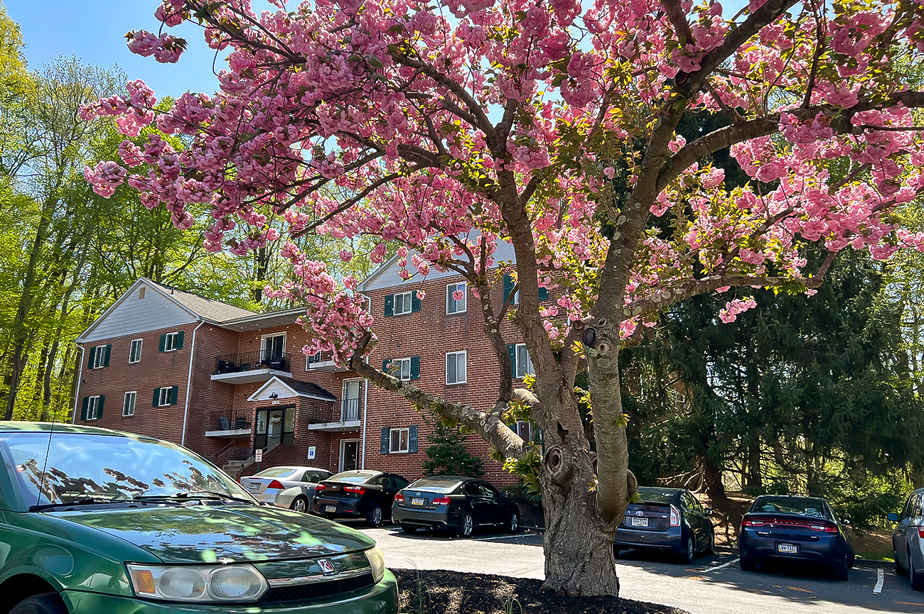 Ridgewood Apartments