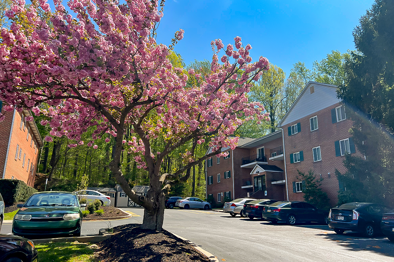 Ridgewood Apartments